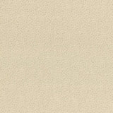 2023-06-A11, Price per 0.1m, Minimum order is 0.3m~ | Fabric