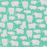 2024-03-A01, Price per 0.1m, Minimum order is 0.3m~ | Fabric