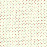 2025-05-A11, Price per 0.1m, Minimum order is 0.3m~ | Fabric