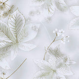 2025-05-A13, Price per 0.1m, Minimum order is 0.3m~ | Fabric