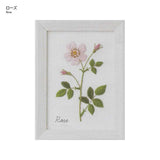 COSMO, Embroidery Kit with Printed Design, "12 Month Plant Notebook (with Frame) by Kazuko Aoki"