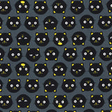 web20240808-01, USA Cotton, moda Funny Kitten, Price per 0.1m, Minimum order is 0.1m~ | Fabric