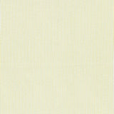 web20241128-02, moda USA Cotton, Fine Stripe, Price per 0.1m, Minimum order is 0.3m~ | Fabric