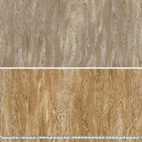 Centenary 31 [10681], Price per 0.1m, Minimum order is 0.3m~ | Fabric