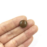 Wood Button with Shank